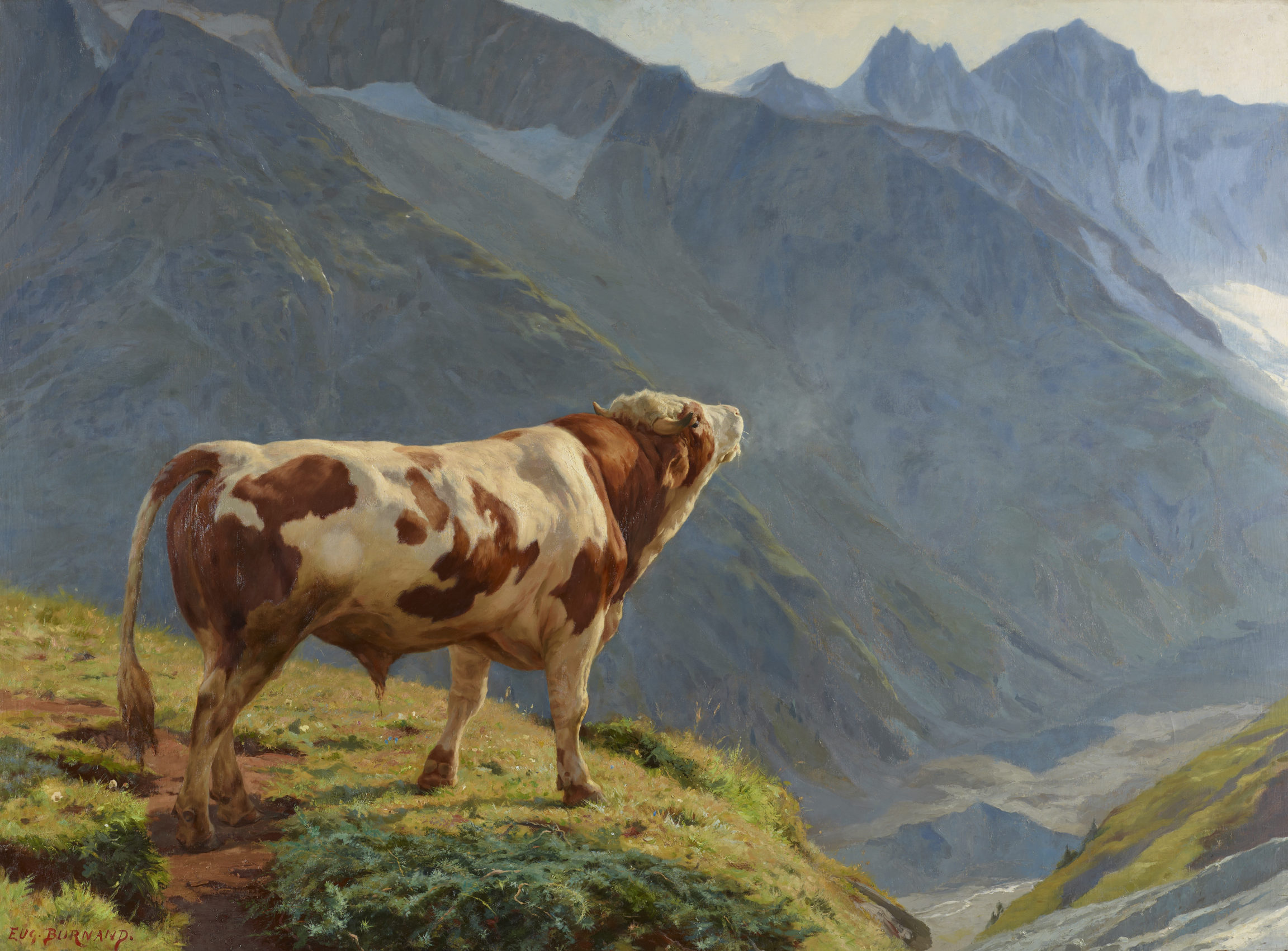 Eugène Burnand, Taureau dans les Alpes, 1884