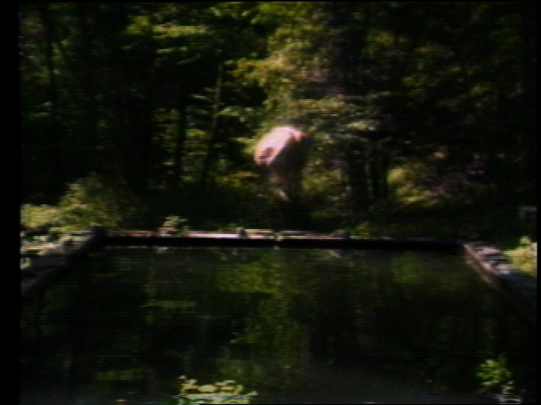 Bill Viola, The Reflecting Pool (tiré de The Reflecting Pool - Collected Work 1977-80), 1977-1979