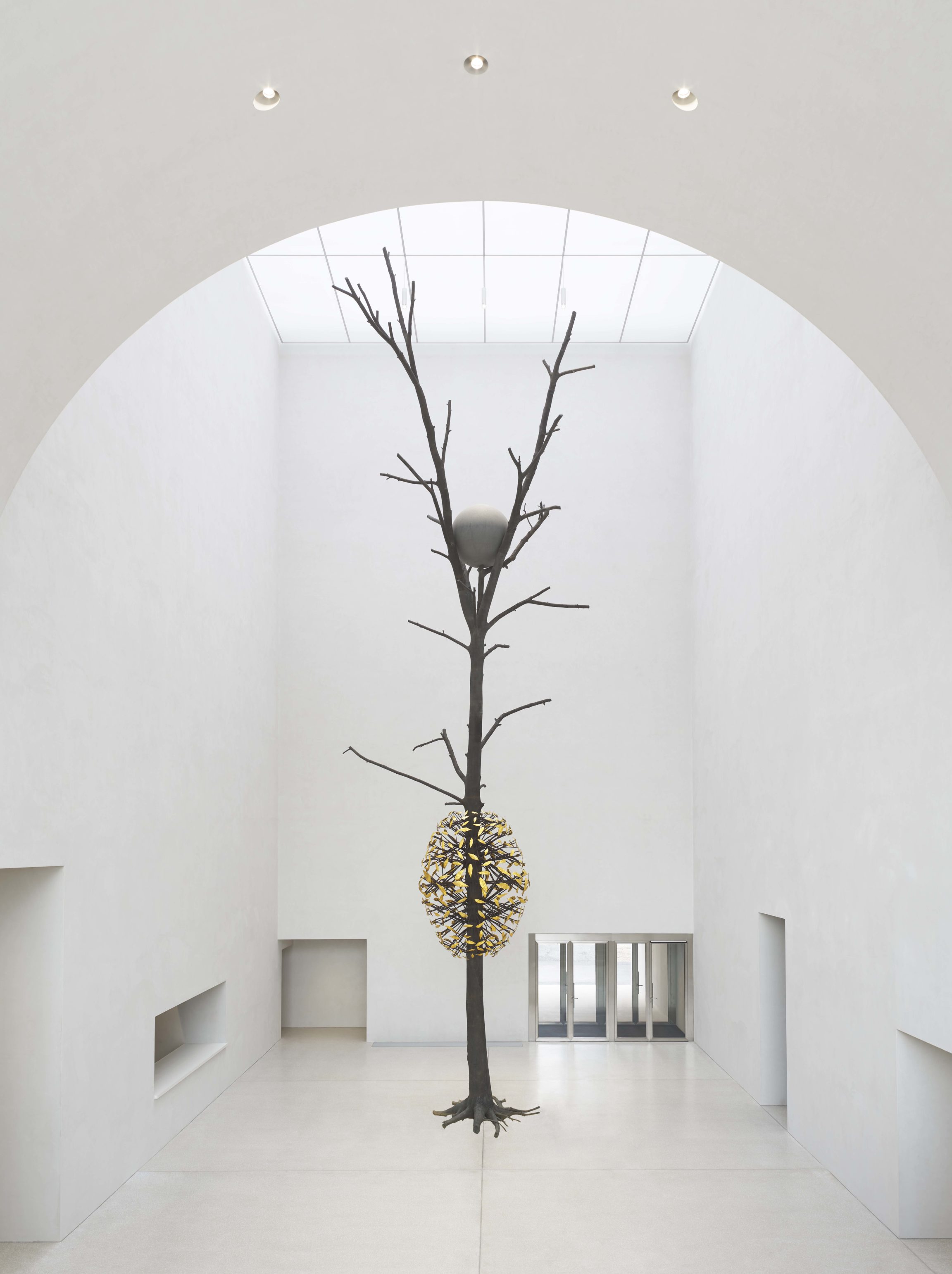 Giuseppe Penone, Luce e ombra, 2011