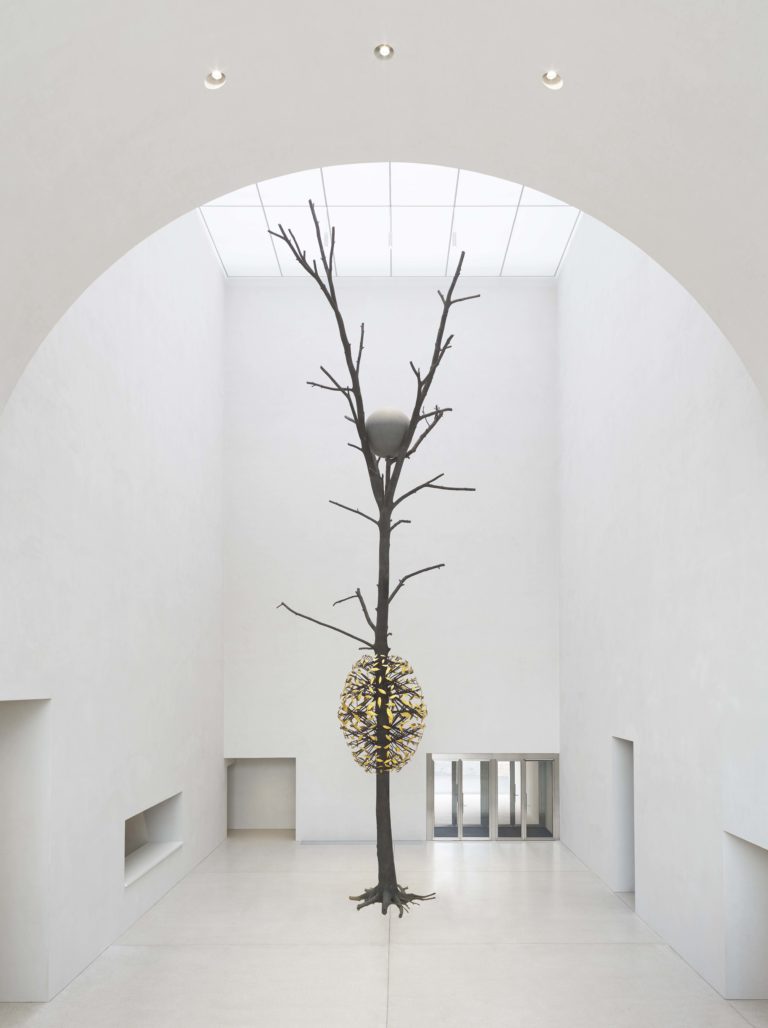 Giuseppe Penone, Luce e ombra, 2011