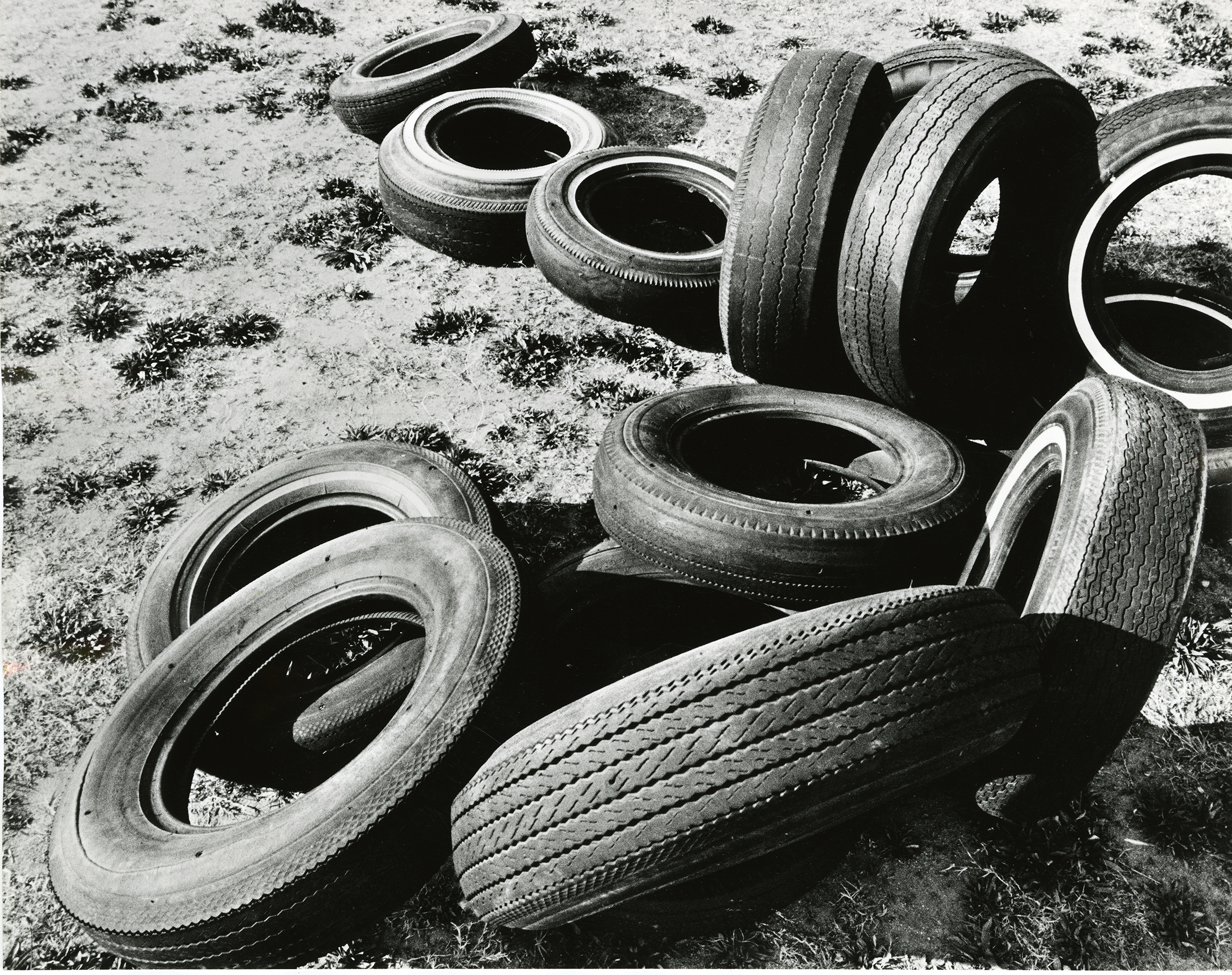 René Bauermeister. California Dreaming