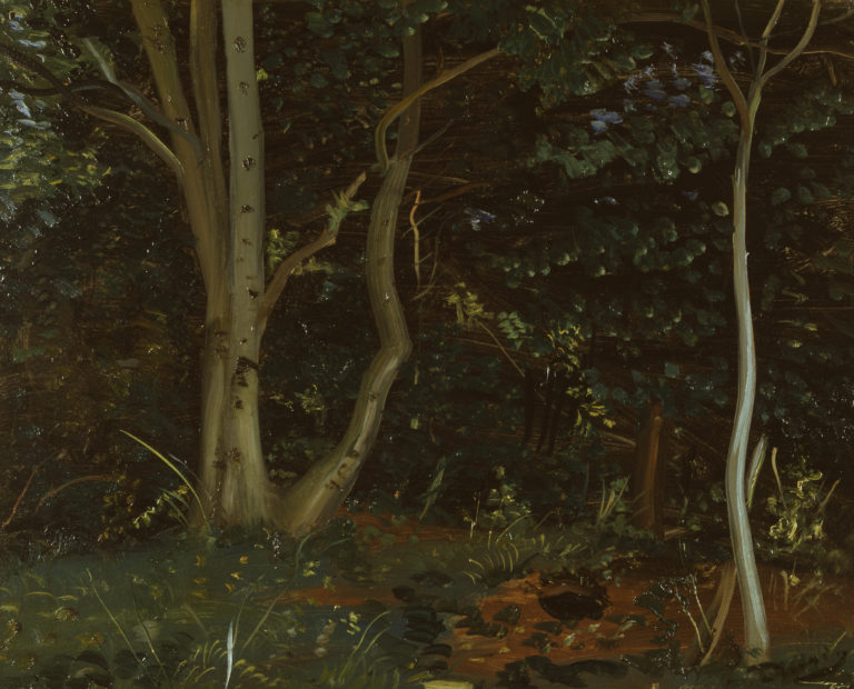 André Derain , Forêt en Île-de-France (Sous-bois) (Forest in Ile-de-France, undergrowth), c. 1946-1948